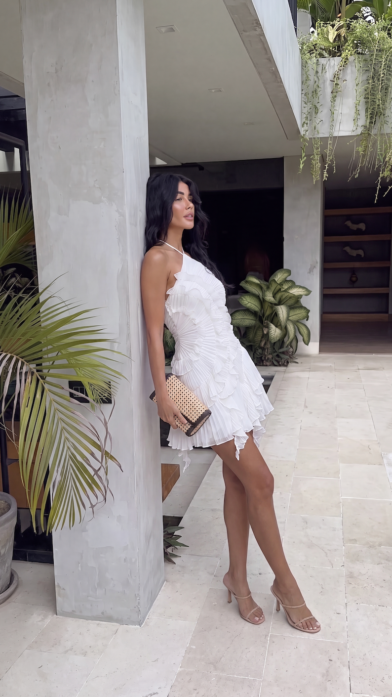 Anouk Ruffle Mini Dress back