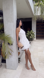Anouk Ruffle Mini Dress back