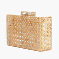 Diana Acrylic Clutch