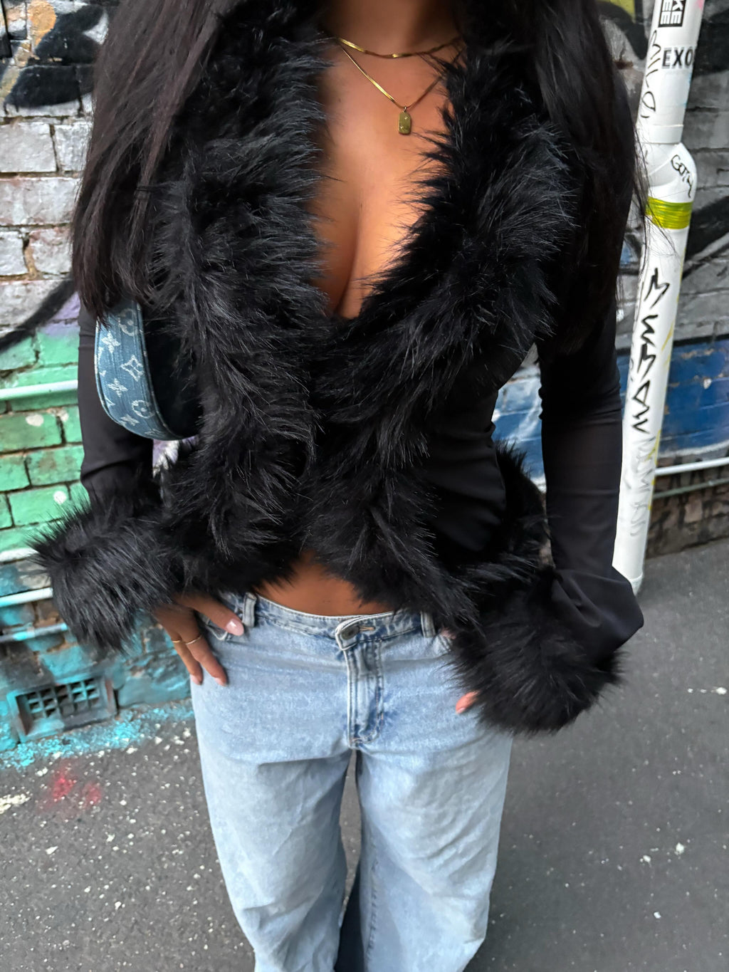 Ferryhill Faux Fur Sheer Top - Black